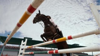 初心者でも安心!競馬の買い方や基本用語を徹底解説!