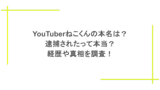 YouTuberねこくんの本名は?逮捕されたって本当?経歴や真相を調査!