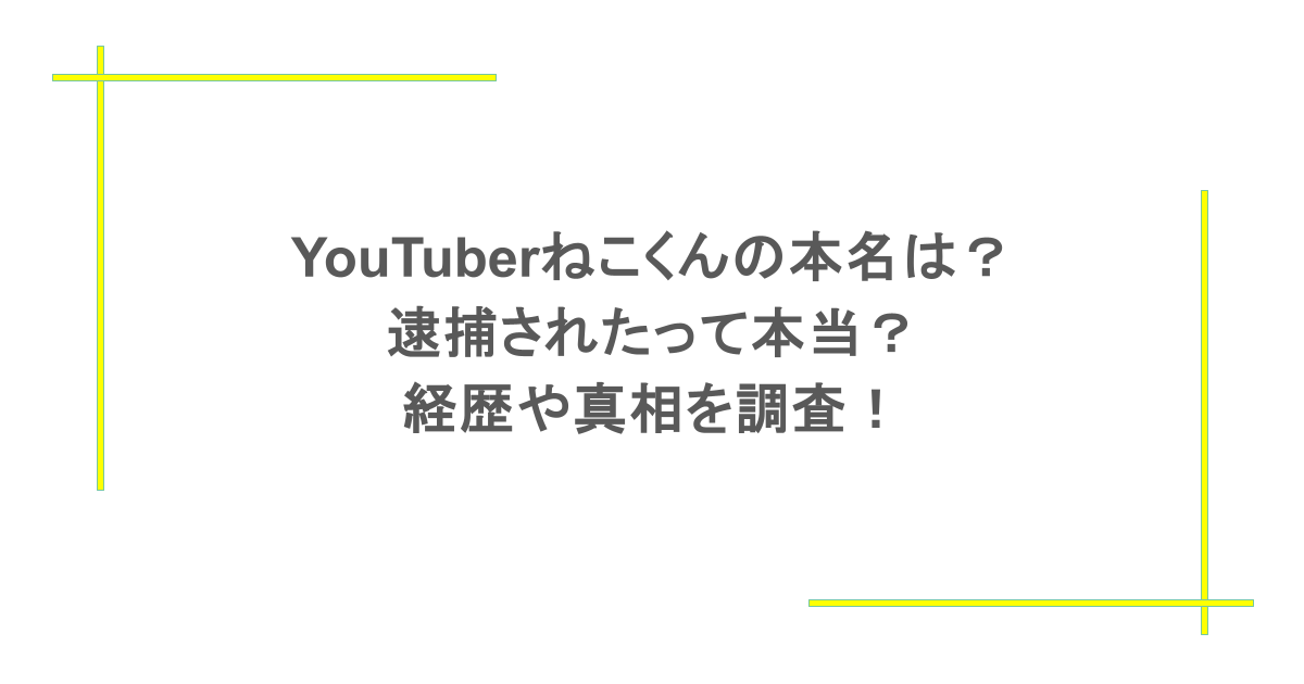 YouTuberねこくんの本名は?逮捕されたって本当?経歴や真相を調査!
