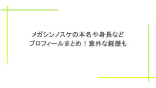 メガシンノスケの本名や身長などプロフィールまとめ！意外な経歴も